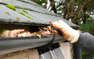gutter cleaning Brynglas, Newport