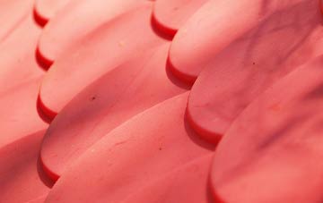 Brynglas plastic roof costs